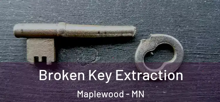Broken Key Extraction Maplewood - MN