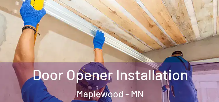 Door Opener Installation Maplewood - MN