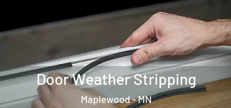 Door Weather Stripping Maplewood - MN