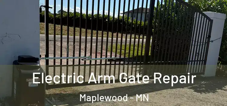 Electric Arm Gate Repair Maplewood - MN