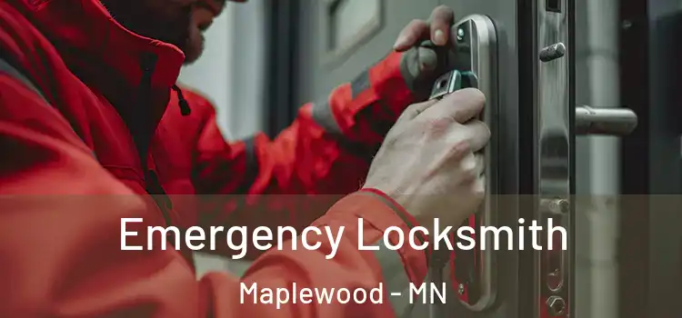 Emergency Locksmith Maplewood - MN