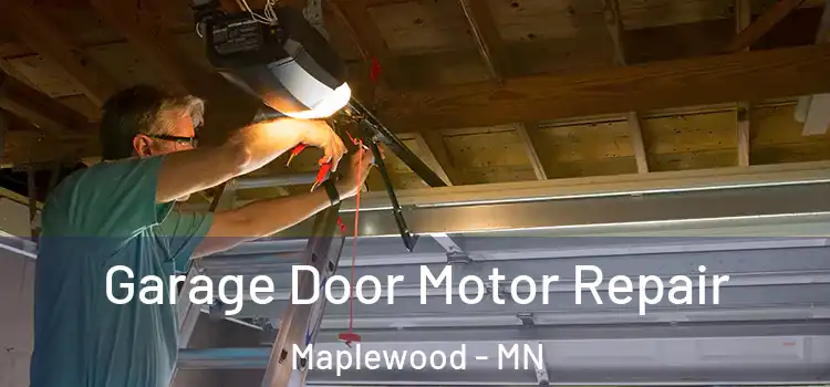  Garage Door Motor Repair Maplewood - MN