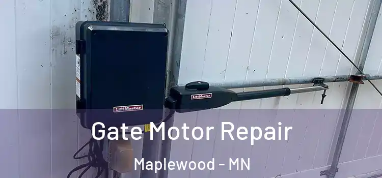Gate Motor Repair Maplewood - MN