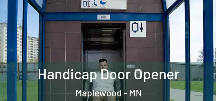 Handicap Door Opener Maplewood - MN