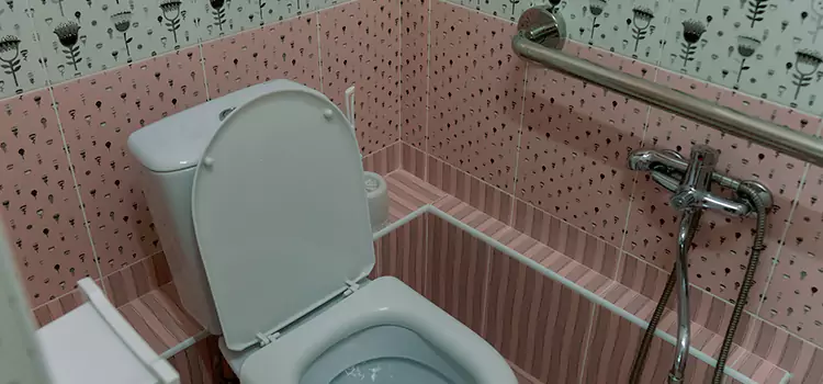 Meeting Diverse Needs With Accessible Restroom Solutions in Maplewood, MN