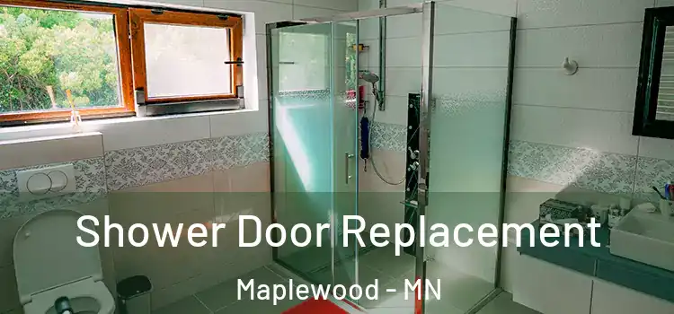 Shower Door Replacement Maplewood - MN