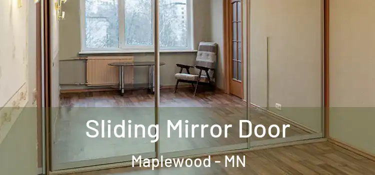  Sliding Mirror Door Maplewood - MN